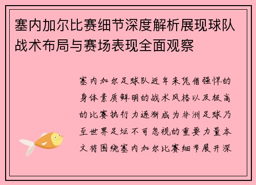 塞内加尔比赛细节深度解析展现球队战术布局与赛场表现全面观察
