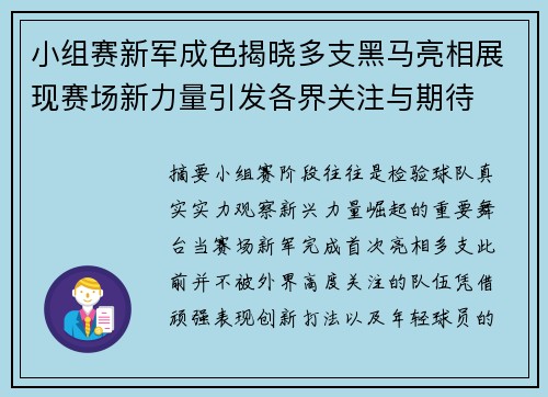 小组赛新军成色揭晓多支黑马亮相展现赛场新力量引发各界关注与期待 小组赛新军成色揭晓多支黑马亮相展现赛场新力量引发各界关注与期待